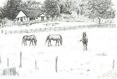 Hester på toppen av banen, 2008 (blekk på papir) av Vincent Alexander Booth