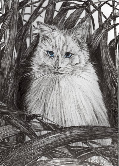 Jungle Monty, 2015, (blekk på papir) av Vincent Alexander Booth