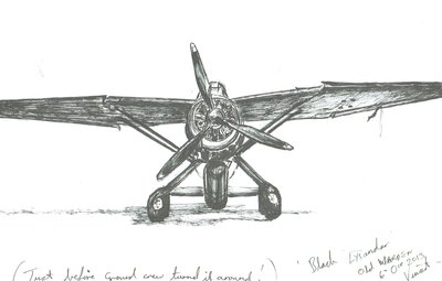 Lysander ved Old Warden, 2012 av Vincent Alexander Booth