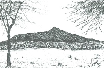 Fjell fra båtklubb ved innsjøen Naivasha, Kenya; 2006 av Vincent Alexander Booth