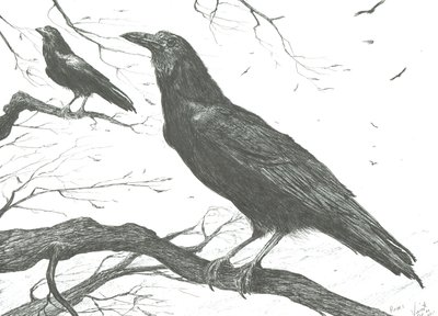 Observers, 2011 av Vincent Alexander Booth
