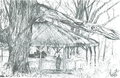 Utendørs bar, innsjøen Naivasha, 2006; (blekk på papir) av Vincent Alexander Booth