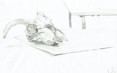 Hodeskalle av Vincent Alexander Booth