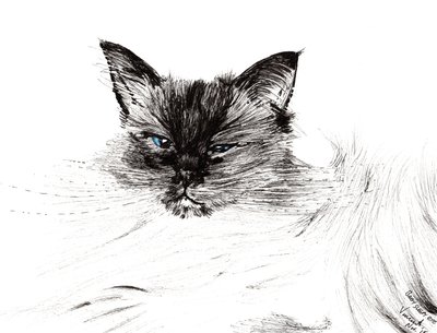 Sleepy eye, 2015, (blekk på papir) av Vincent Alexander Booth