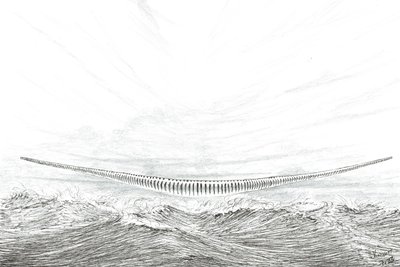 Storm Creators Cape Leveque, 2023 av Vincent Alexander Booth