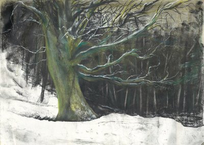Tre i vintersnø ved Osmotherley-skogen av Vincent Alexander Booth