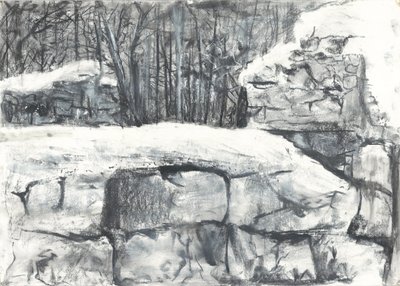 Wall in the Woods Osmotherley av Vincent Alexander Booth