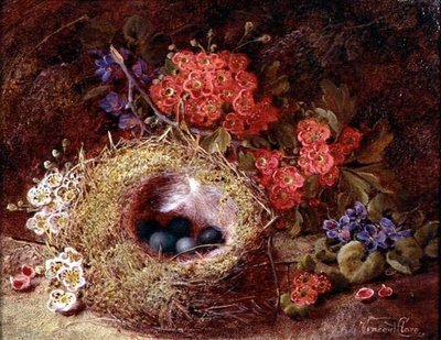Stilleben av et fuglerede og en blomst av Vincent Clare