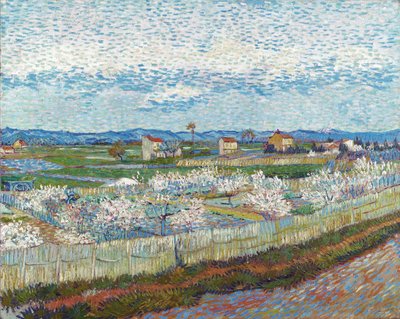 Ferskentrær i blomst, 1889. av Vincent van Gogh