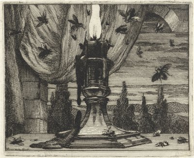 Fluer kommer til lyset av et stearinlys av Vincent Laurensz. van der Vinne (II)