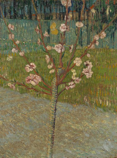  av Vincent van Gogh