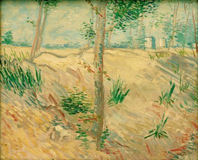 Trestammer i sollys av Vincent van Gogh