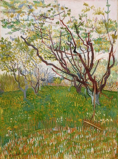 Blomstrende frukthage. 1888 av Vincent van Gogh