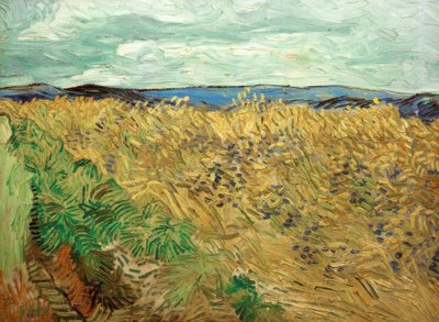 Åker med kornblomster av Vincent van Gogh