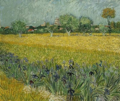 Felt med iris nær Arles. mai 1888 av Vincent van Gogh