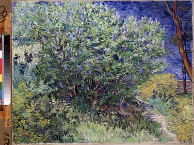 ""Syrinbusken"" (syrinbusken) Maleri av Vincent van Gogh (1853-1890) 1889 Mål 72x92 cm Eremitagemuseet, St. Petersburg (Sankt-Petersburg) av Vincent van Gogh