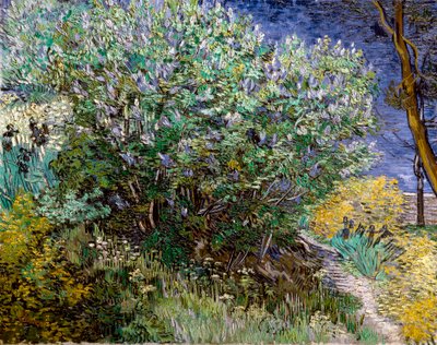 Syrinbusken. Vincent VAN GOGH (1853-1890) av Vincent van Gogh