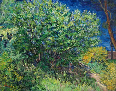 Syriner av Vincent van Gogh