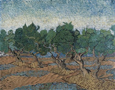 Olivenlund av Vincent van Gogh