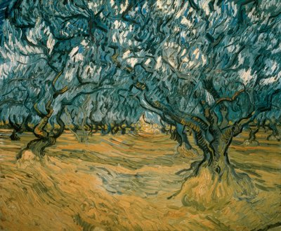 Oliventrær av Vincent van Gogh