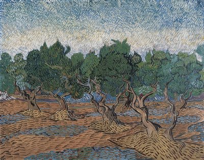 Olivenlund. 1889 av Vincent van Gogh