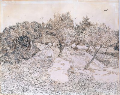 Oliventrær i Montmajour av Vincent van Gogh