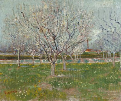 Frukthage i blomst (plommetrær) av Vincent van Gogh