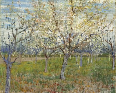 Rosa frukthage. 1888 av Vincent van Gogh