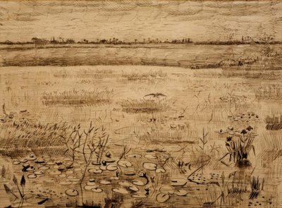Sumplandskap med vannliljer av Vincent van Gogh