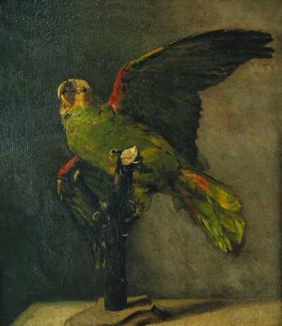 Den grønne papegøyen; Le Perroquet Vert, 1885 av Vincent van Gogh