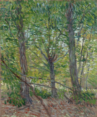  av Vincent van Gogh