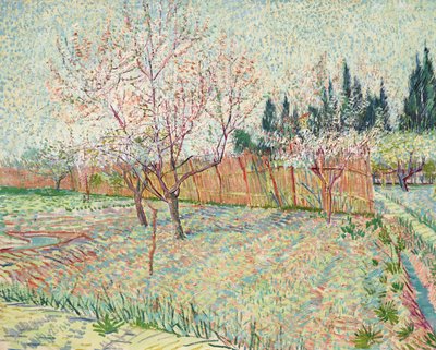 Frukthage med sypresser av Vincent van Gogh