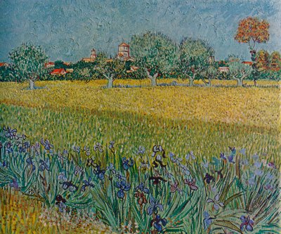 Utsikt over Ales med iris i blomst, 1888 av Vincent van Gogh