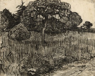 Gråttre, 1889 av Vincent van Gogh