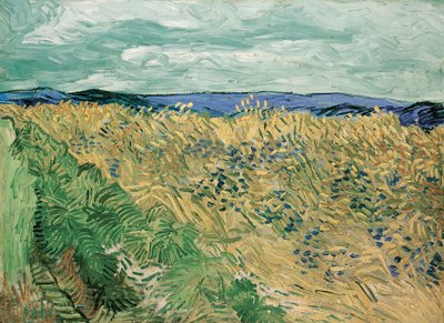 Hveteåker med kornblomster av Vincent van Gogh