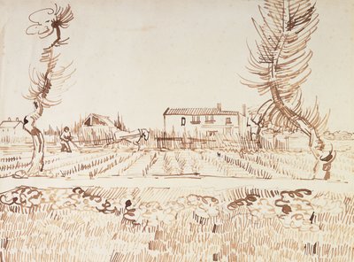 Arbeid på feltene i Arles; Ploughman in the Fields at Arles, 1888 av Vincent van Gogh
