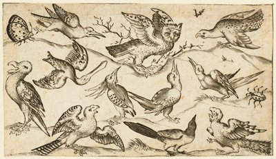Eleven birds and two insects on minimal ground with owl with wings outstretched..., 1572.     1157362   no       norwegian Successfully Translated  Original: Historiated initial depicting Elisha in the Mantle of Elijah, cutting from an antiphonary, c.1440  av Virgil Solis