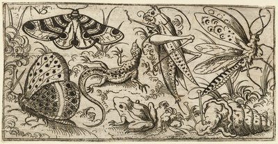 Gruppe av insekter og dyr på en vanlig mark med gress..., 1530 - 1562. av Virgil Solis