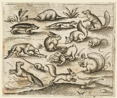 Gruppe av små skogsdyr som spiser og løper rundt en dam, inkludert en mus..., 1557. av Virgil Solis