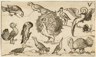Påfugl i sentrum omgitt av ni andre fugler, inkludert en kalkun og en sommerfugl..., 1572. av Virgil Solis