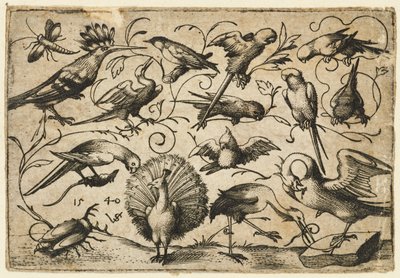 Ti fugler på små løvranker med en stork som binder en ranke rundt en pelikans ben..., 1540. av Virgil Solis