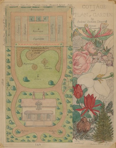 Grunnplan for hytte, ca. 1936. av Virginia Richards