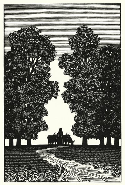 Illustrasjon for Tess Of The D