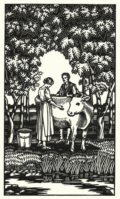 Illustrasjon for Tess Of The D
