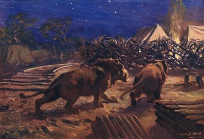 Jernbanearbeiderens fiende av W.R.S. Stott