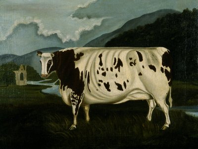 The Famous Craven Heifer (olje på lerret) av W. D. Fryer