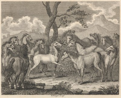 Hestenes råd av W. Grainger