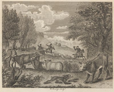 Haren og mange venner av W. Grainger