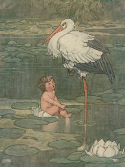 Knoppen åpnet seg i en fullblåst blomst, c1930 av William Heath Robinson
