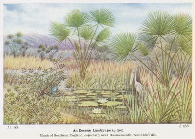 Et eocen landskap (farge litho) av W. J. Stokoe
